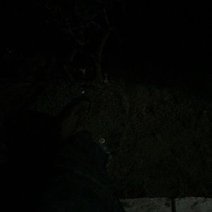 Meet your Posher, Avery